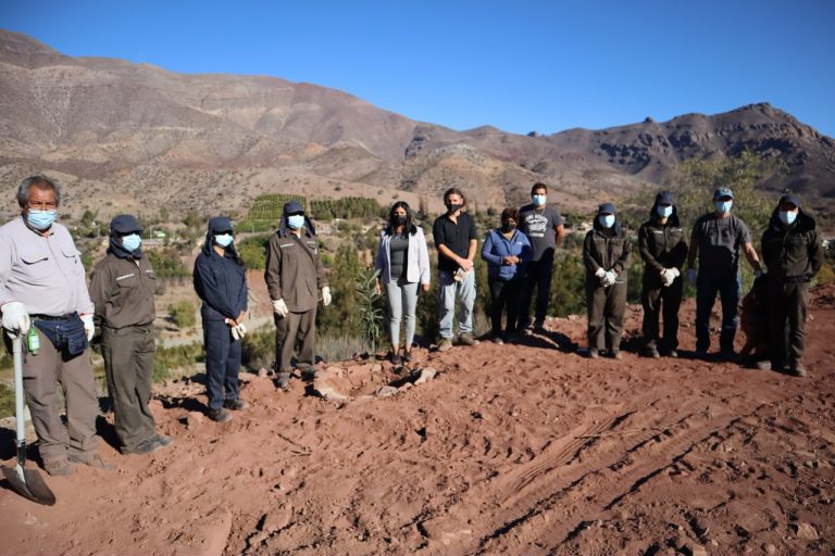 9.7 Limpieza en San Pedro