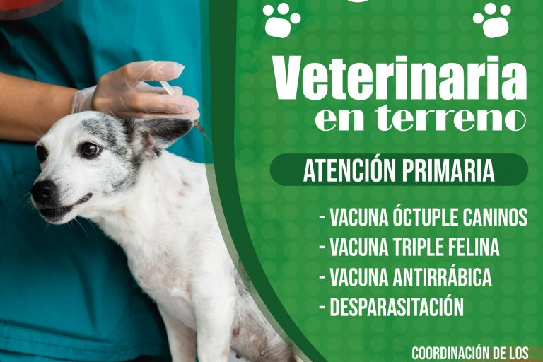 278140115_1849466678596390_3734810974275418919_n