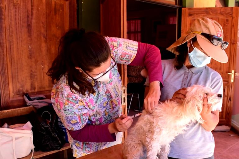 WhatsApp-Image-2022-04-05-at-4.05.51-PM