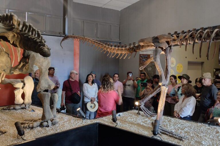 Rio-Hurtado-Universidad-Nacional-de-San-Juan-Parque-Ischigualasto-4