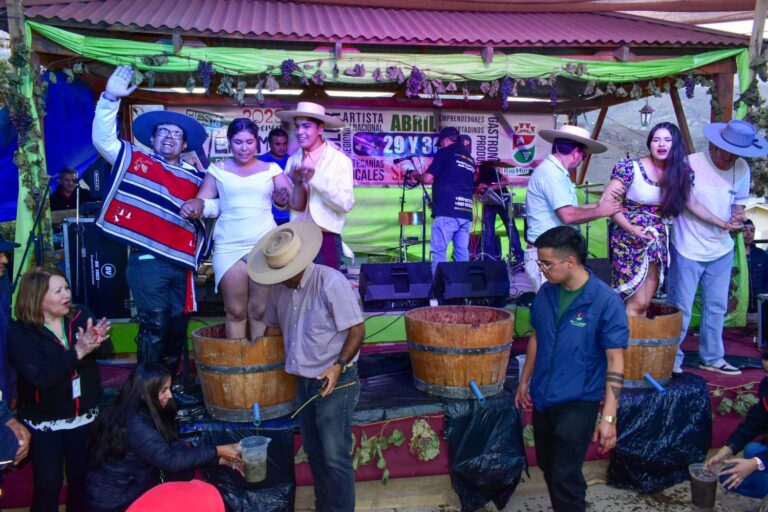 Vendimia-Rio-Hurtado