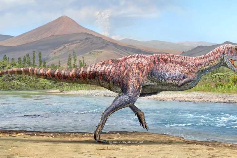 PICHASCAS-paleoambiente-alta