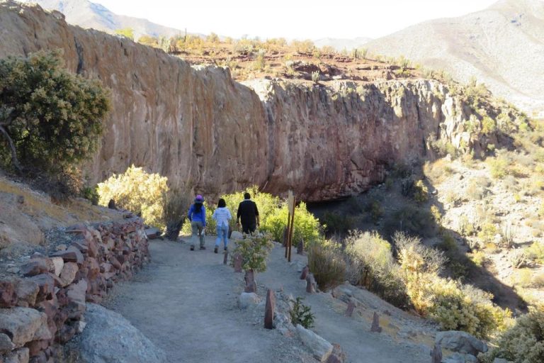 WhatsApp-Image-2023-09-27-at-08.50.03