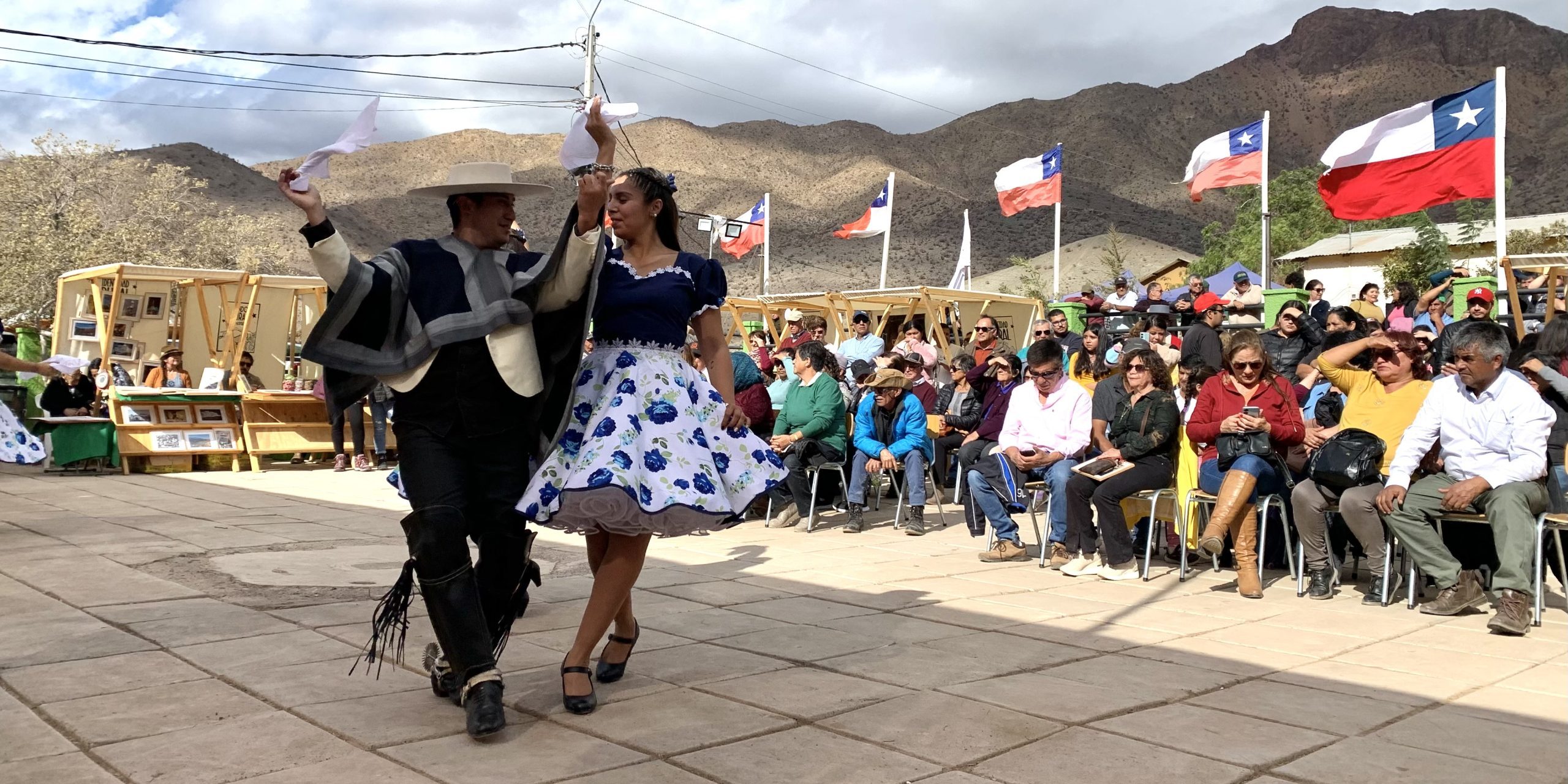 Fiesta-de-la-Vendimia-Rio-Hurtado-3