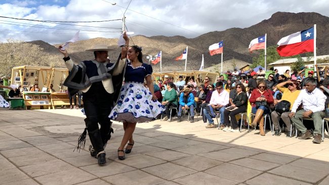 Fiesta-de-la-Vendimia-Rio-Hurtado-3