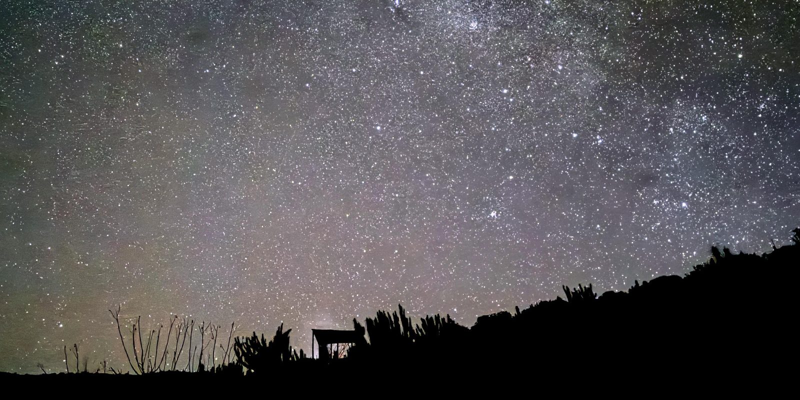 WhatsApp-Image-2024-07-08-at-10.37.49