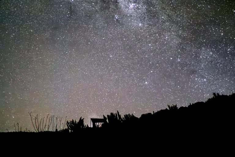 WhatsApp-Image-2024-07-08-at-10.37.49