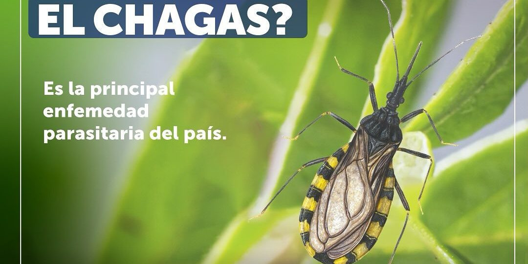 480843004_18260798293278983_5505501289541646597_n