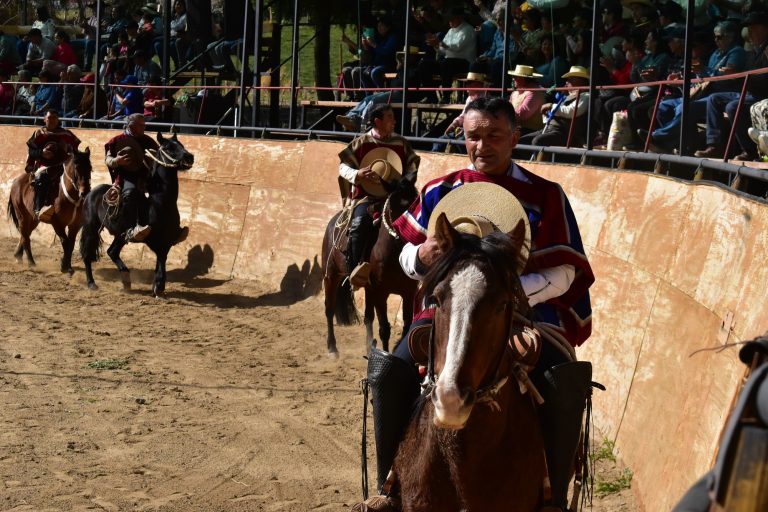 Expo Campesina Río Hurtado Las Breas